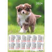 Календарь А2 2024г. Животные ПО-24-341 Собаки